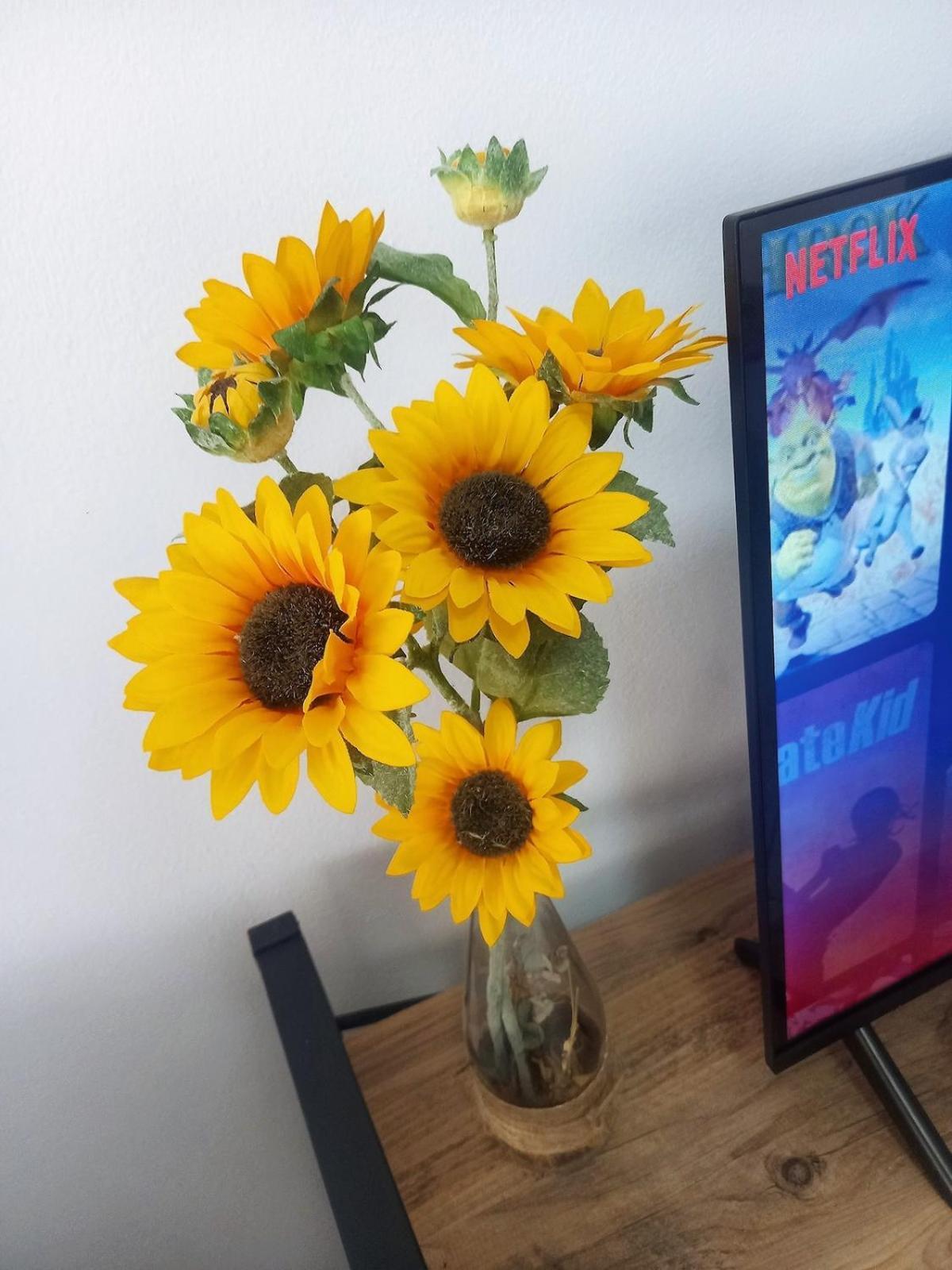 Sunflower Appartement *