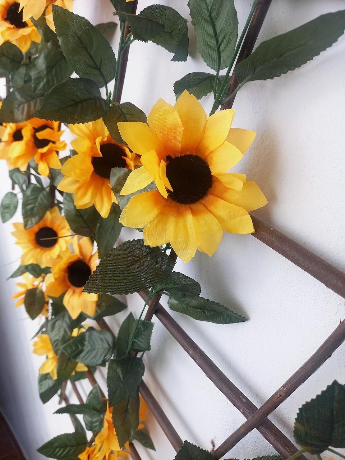 Appartement Sunflower *